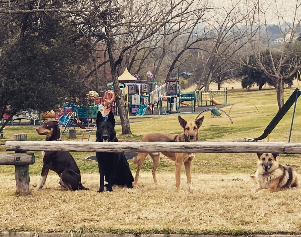 Training & Her Tribulations